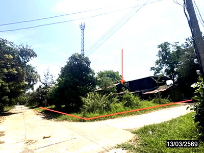 บ้านเดี่ยว ยโสธร : บ้านเดี่ยว 118 ตร.วา เลิงนกทา ยโสธร 1M