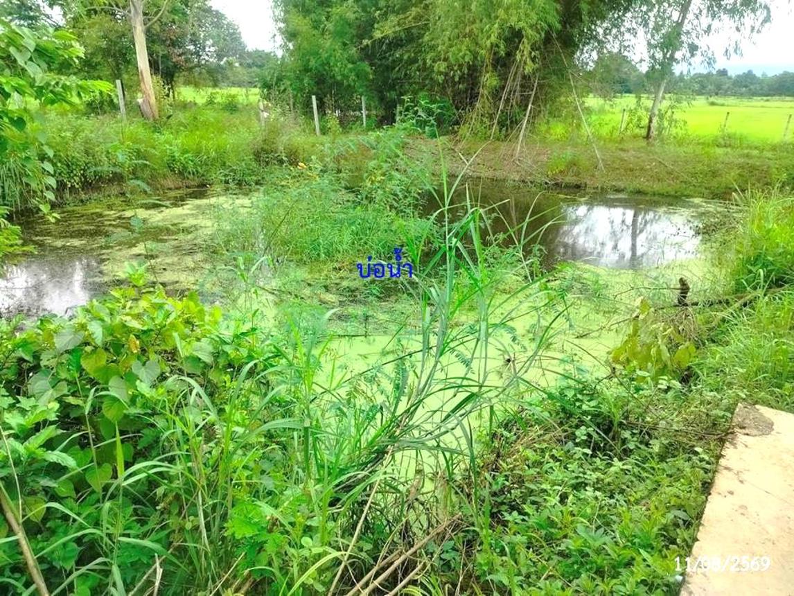 รูป บ้านเดี่ยว 2000 ตร.วา สว่างแดนดิน สกลนคร 2M - รูปที่ 30/35