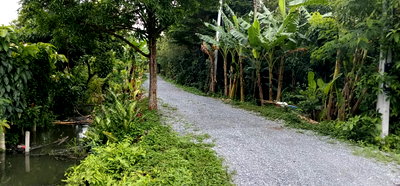 Land for sale Nakhon Pathom : Land for Sale in Nakhon Pathom – Canal & Public Road Frontage