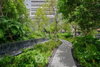 listing thumbnail image 19