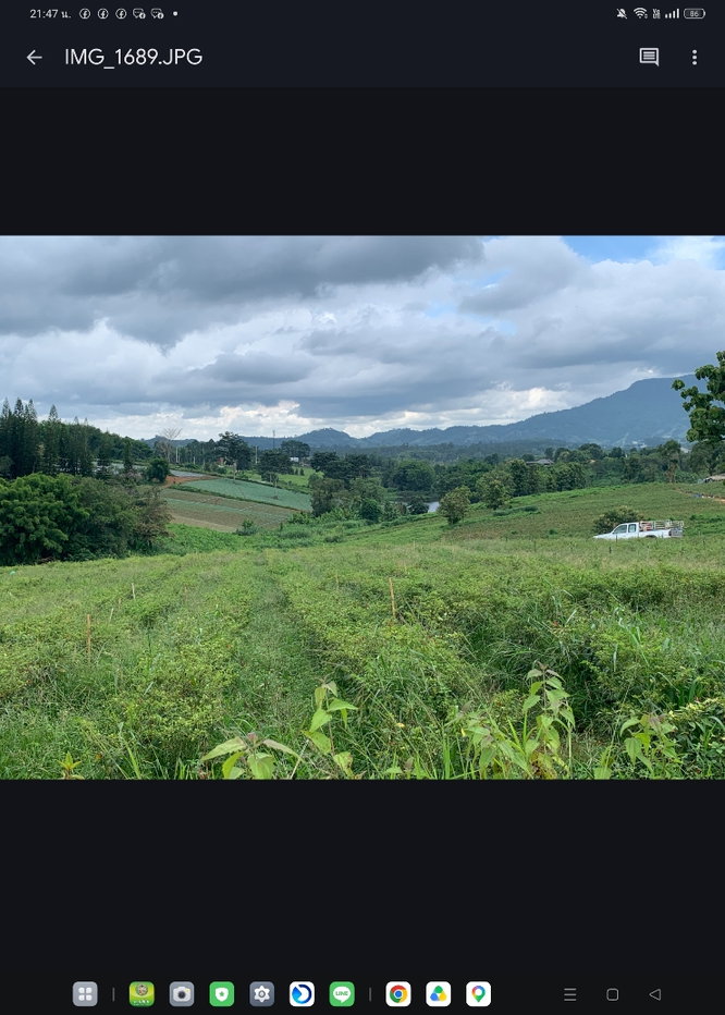 รูป ที่ดินเขาค้อ วิวสวยๆ ราคาเบาๆ มีหลายแปลง10ไร่ 50ไร่ 500ไร่ - รูปที่ 2/4