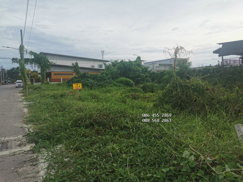 รูป ขายด่วน ที่ดินเปล่า 103 ตรว. อยู่ซอยศรีด่าน22-ถนนศรีนครินทร์ ใกล้แม็คโคร รร.นานาชาติไทย-สิงคโปร์ รถไฟฟ้าสถานีศรีแบริ่ง - รูปที่ 5/10
