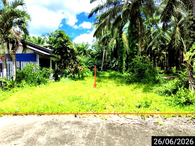 ที่ดินว่างเปล่า 67 ตร.วา ไชยา สุราษฎร์ธานี 273,000