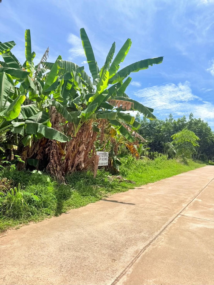 รูป ขายที่ดินทำเลดี เกาะยาวน้อย วิวธรรมชาติ เหมาะลงทุน/ทำสวน - รูปที่ 20/21