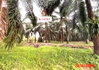 listing thumbnail image 20