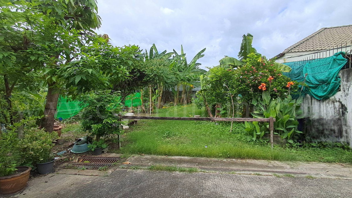 รูป ที่ดินเปล่า 59.5 ตร.วา ถมแล้ว สุขุมวิท 97/1 ใกล้ BTS บางจาก ราคาถูกมาก - รูปที่ 3/5