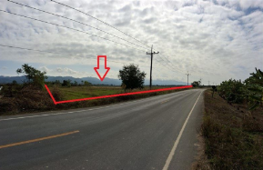 รูป ที่ดินว่างเปล่า 9533 ตร.วา เชียงของ เชียงราย เชียงของ เชียงราย 10.5M - รูปที่ 2/7