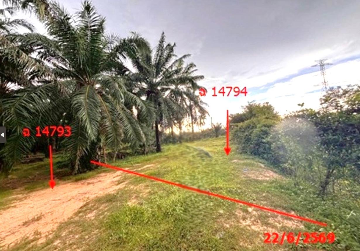 picture LAND 26314 Sq.w. Tha Chang Surat Thani for 45.5M - 17/25