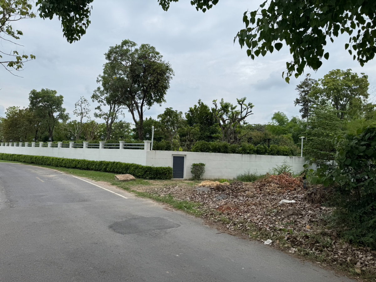 picture Beautiful plot of land for sale San Pa Tong at Chiang Mai 376 square wah a very nice, rectangular-shaped plot. - 3/8