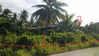 listing thumbnail image 4