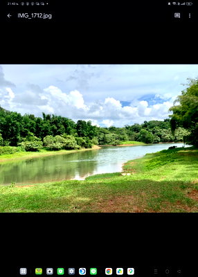 ที่ดิน เพชรบูรณ์ : ที่ดินเขาค้อ วิวสวยๆ ราคาเบาๆ มีหลายแปลง10ไร่ 50ไร่ 500ไร่
