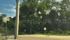 listing thumbnail image 17