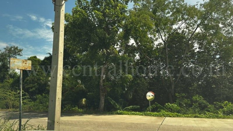 รูป ที่ดิน บ้านปทุม สามโคก ทำเลดี ติดถนนสาธารณะ ถมแล้ว ใกล้ความเจริญ - รูปที่ 18/18