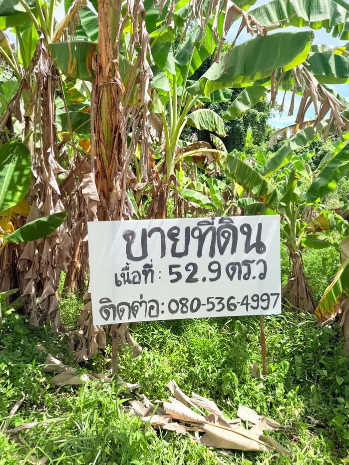 รูป ขายที่ดินทำเลดี เกาะยาวน้อย วิวธรรมชาติ เหมาะลงทุน/ทำสวน - รูปที่ 7/21
