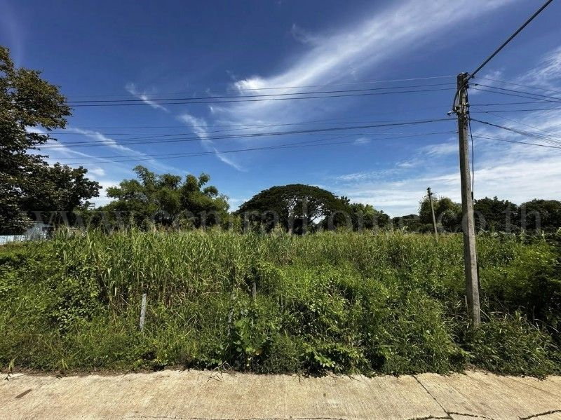 รูป ที่ดิน บ้านปทุม สามโคก ทำเลดี ติดถนนสาธารณะ ถมแล้ว ใกล้ความเจริญ - รูปที่ 5/18