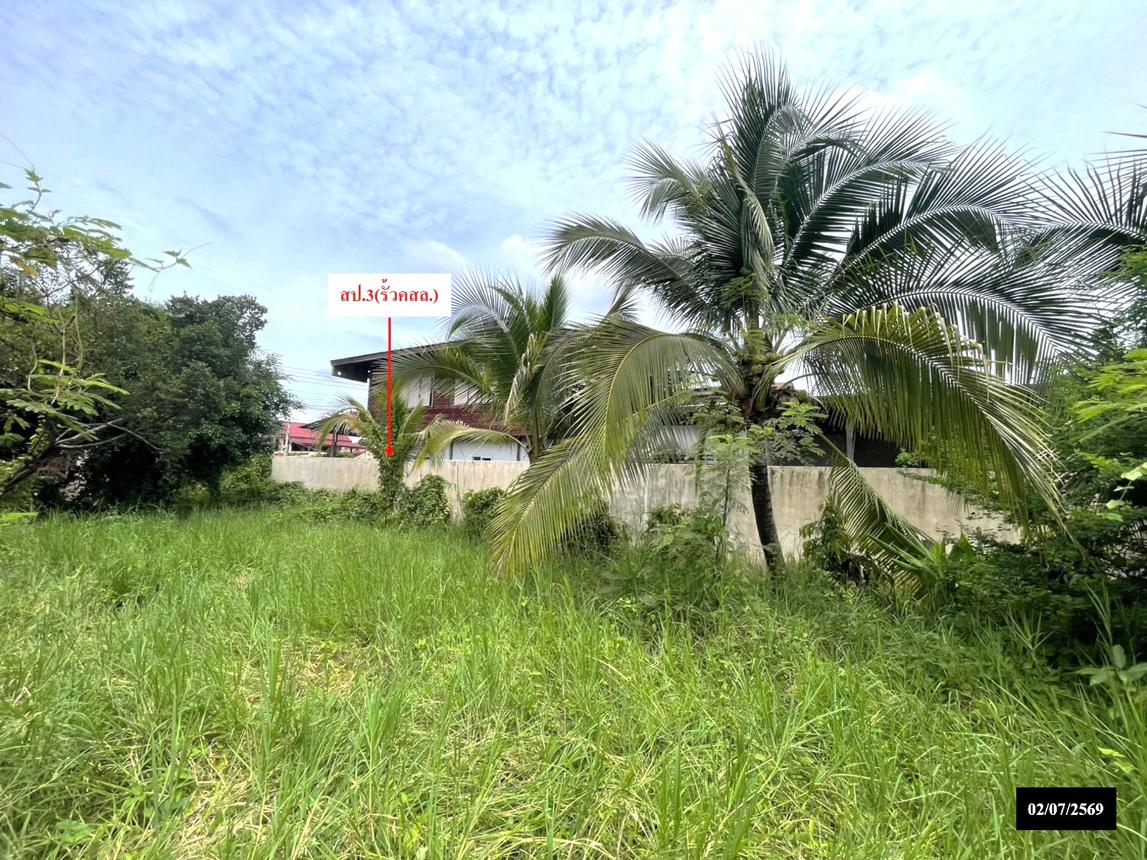 รูป บ้านเดี่ยว 417 ตร.วา เมืองสกลนคร สกลนคร 4M - รูปที่ 28/35