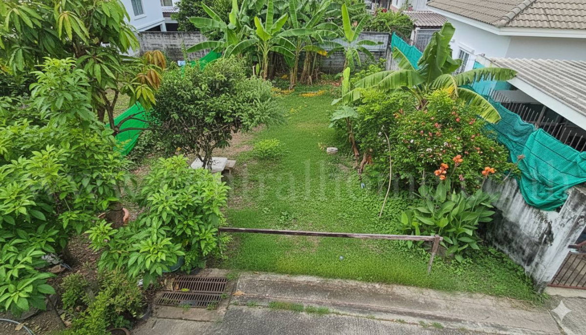 รูป ที่ดินเปล่า 59.5 ตร.วา ถมแล้ว สุขุมวิท 97/1 ใกล้ BTS บางจาก ราคาถูกมาก - รูปที่ 2/5