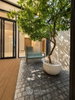 listing thumbnail image 21