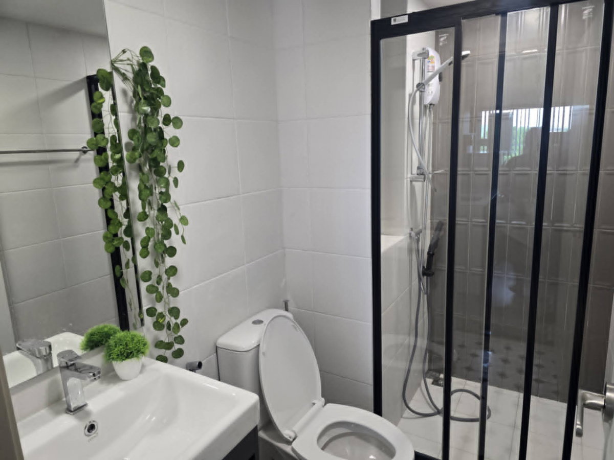 picture KaveWonderland for rent....... - 9/16