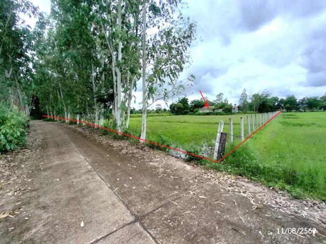 รูป บ้านเดี่ยว 2000 ตร.วา สว่างแดนดิน สกลนคร 2M - รูปที่ 16/35