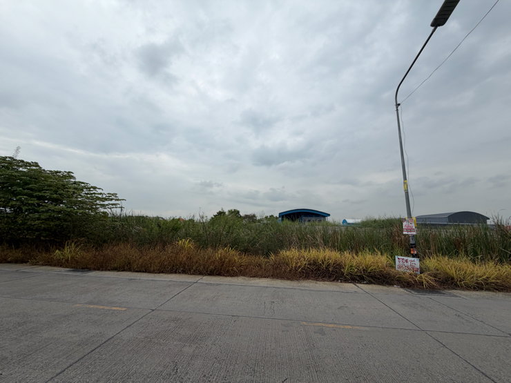 รูป ซอยบงกช10 ขายที่ดิน1งานกว้าง17เมตรยาว24เมตร - รูปที่ 2/3