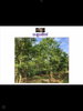 listing thumbnail image 10