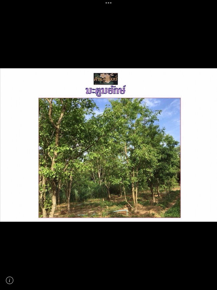 รูป ขาย : ที่ดินพร้อมสิ่งปลูกสร้าง แก่งกระจาน จ.เพชรบุรี ติดแม่น้ำเพชรบุรี, ชุมชน,ตลาด 87 ไร่ 2 งาน 21.4 ตร.ว - รูปที่ 11/15