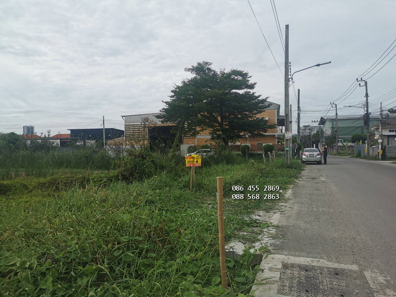 รูป ขายด่วน ที่ดินเปล่า 103 ตรว. อยู่ซอยศรีด่าน22-ถนนศรีนครินทร์ ใกล้แม็คโคร รร.นานาชาติไทย-สิงคโปร์ รถไฟฟ้าสถานีศรีแบริ่ง - รูปที่ 6/10