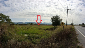 รูป ที่ดินว่างเปล่า 9533 ตร.วา เชียงของ เชียงราย เชียงของ เชียงราย 10.5M - รูปที่ 5/7