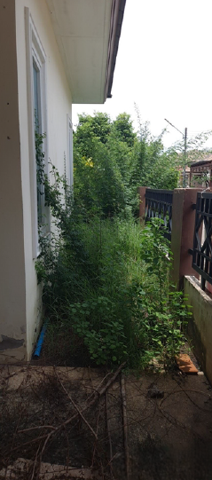 picture HOME 81 Sq.w. Muang Nakhon Ratchasima Nakhon Ratchasima for 3.1M - 26/26