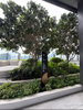 listing thumbnail image 23