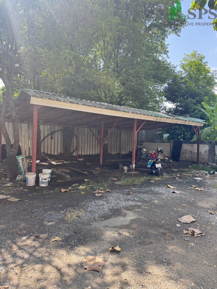 รูป ให้เช่า บ้านเดี่ยว / Home Office ย่านพัฒนาการ จดทะเบียนบริษัทได้ (SPSAD4158) - รูปที่ 2/20