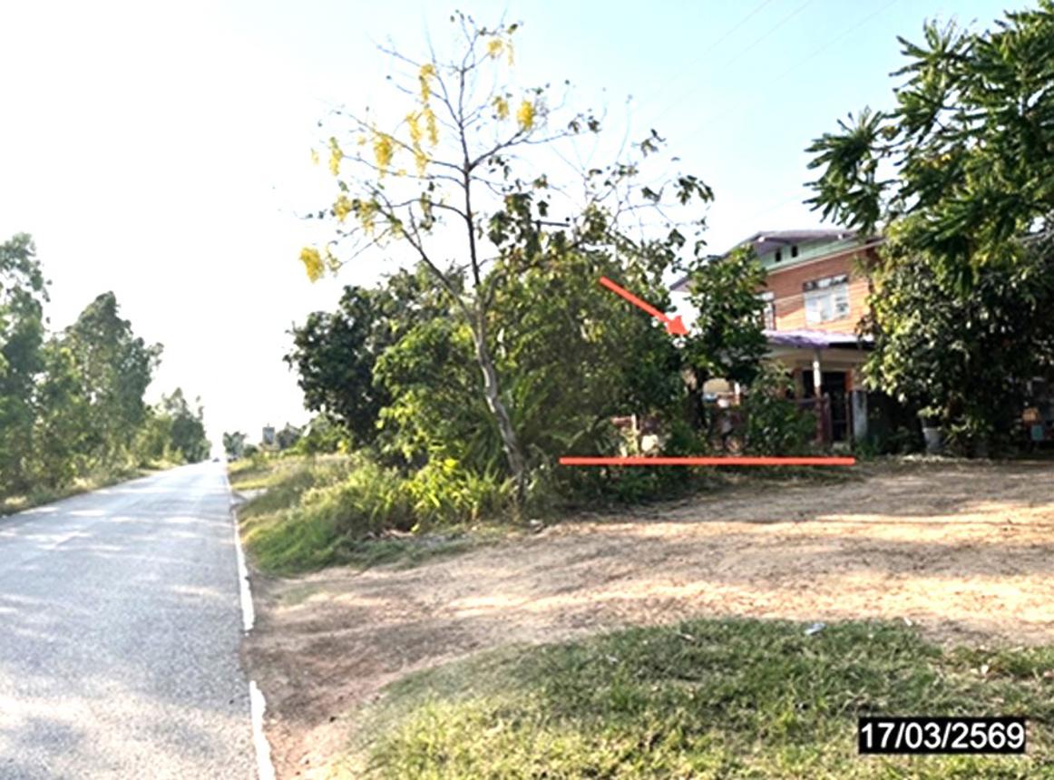 รูป บ้านเดี่ยว 81 ตร.วา ดอนจาน กาฬสินธุ์ 1.6M - รูปที่ 11/15