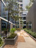 listing thumbnail image 31