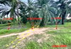 listing thumbnail image 14