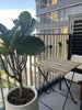 listing thumbnail image 0