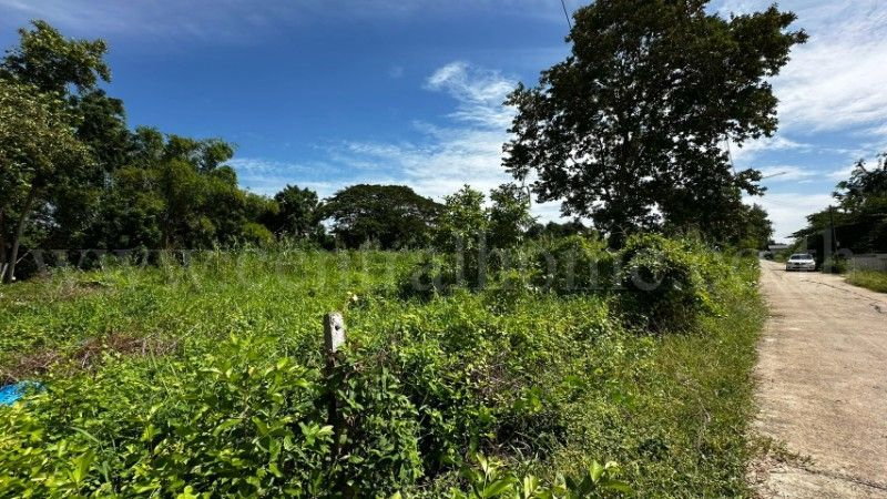 รูป ที่ดิน บ้านปทุม สามโคก ทำเลดี ติดถนนสาธารณะ ถมแล้ว ใกล้ความเจริญ - รูปที่ 2/18