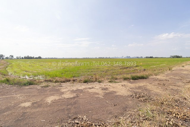 รูป ขายที่ดินเปล่า (ปัจจุบันเป็นที่นา) เนื้อที่ 20 ไร่ ทรงสวยสี่เหลี่ยม ต.วังพัฒนา อ.บางซ้าย จ.พระนครศรีอยุธยา - รูปที่ 5/8