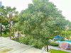 listing thumbnail image 13