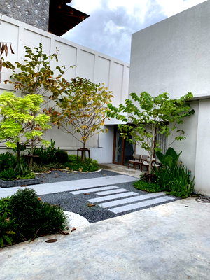 Houses for sale Lat Phrao : House for Sale:Soi Sangkhom Songkhro 12  Prime Location Excellent Environment 150 Sq. Wa (approx. 600 sq.m.)