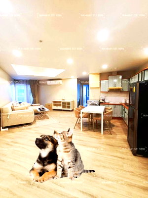 คอนโดให้เช่า : 2Bed Pet Friendly Condo for Rent Sukhumvit Central Bangkok✨Wireless, Near BTS Ploenchit, MRT Petchaburi🔰 We can show all available units here
