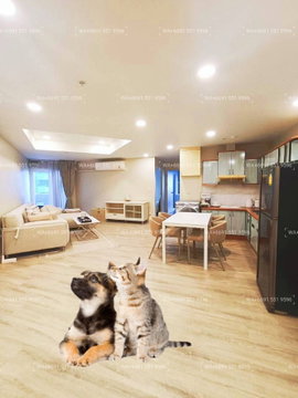 2Bed Pet Friendly Condo for Rent Sukhumvit Central Bangkok✨Wireless, Near BTS Ploenchit, MRT Petchaburi🔰 We can show all available units here