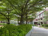 listing thumbnail image 23