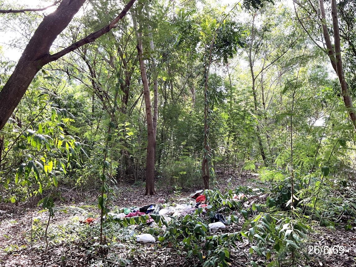 picture LAND 3045 Sq.w. Muang Chaiyaphum Chaiyaphum for 4.3M - 14/21