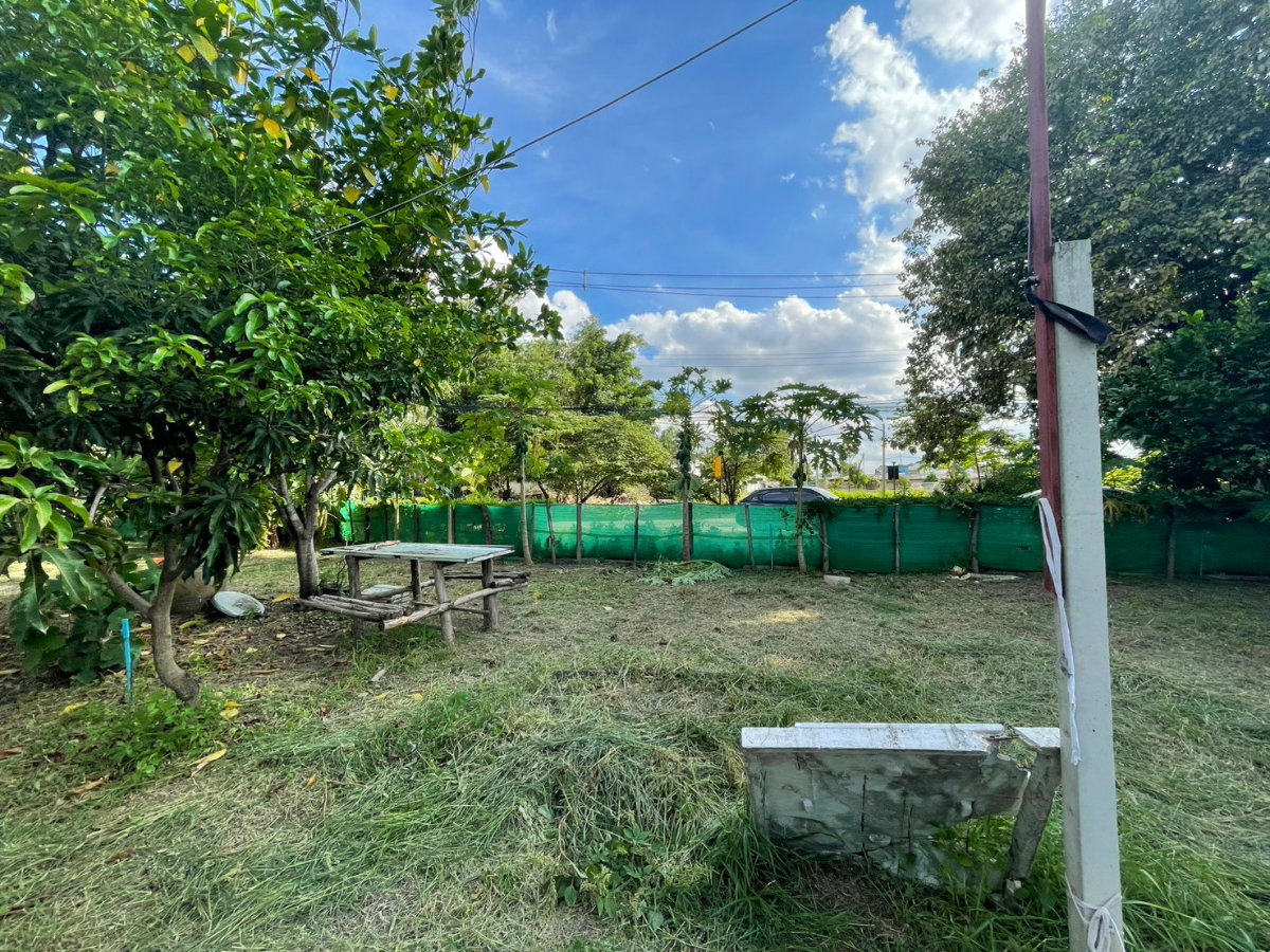 รูป ขายที่ดินเปล่าติดถนน หมู่บ้านลานทอง ปากเกร็ด ที่สวย ทำเลดี ขายถูก 1 งาน 66 ตร.ว - รูปที่ 6/9