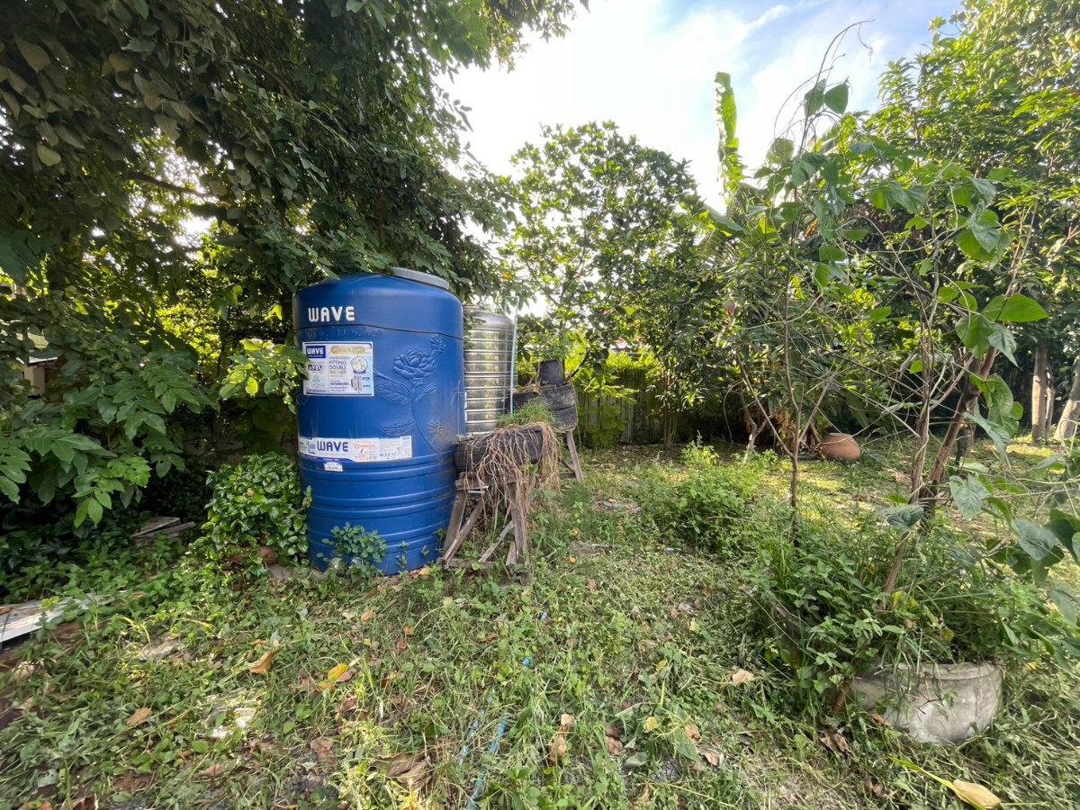 รูป ขายที่ดินเปล่าติดถนน หมู่บ้านลานทอง ปากเกร็ด ที่สวย ทำเลดี ขายถูก 1 งาน 66 ตร.ว - รูปที่ 9/9