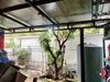 listing thumbnail image 25