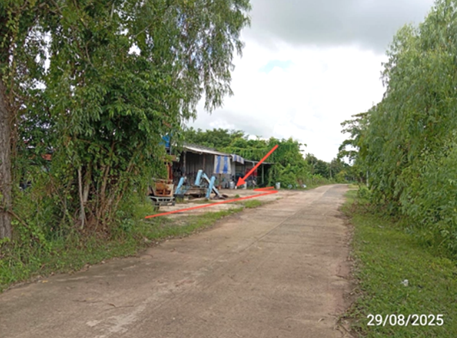 รูป บ้านเดี่ยว 487 ตร.วา ปราสาท สุรินทร์ 3.5M - รูปที่ 7/17