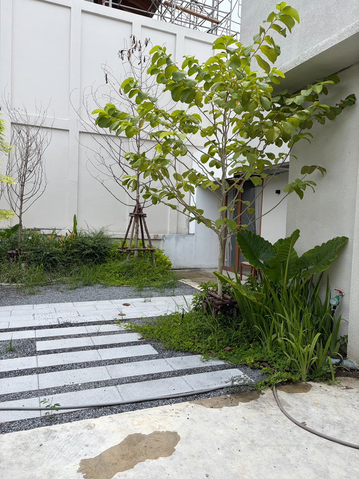 รูป ขาย บ้านเดี่ยว150ตรว. บ้านสวยน่าอยู่ สิ่งแวดล้อมดี ซอยสังคมสงเคราะห์ 12 ทำเลสะดวก พื้นที่ใช้สอยเยอะ - รูปที่ 20/21