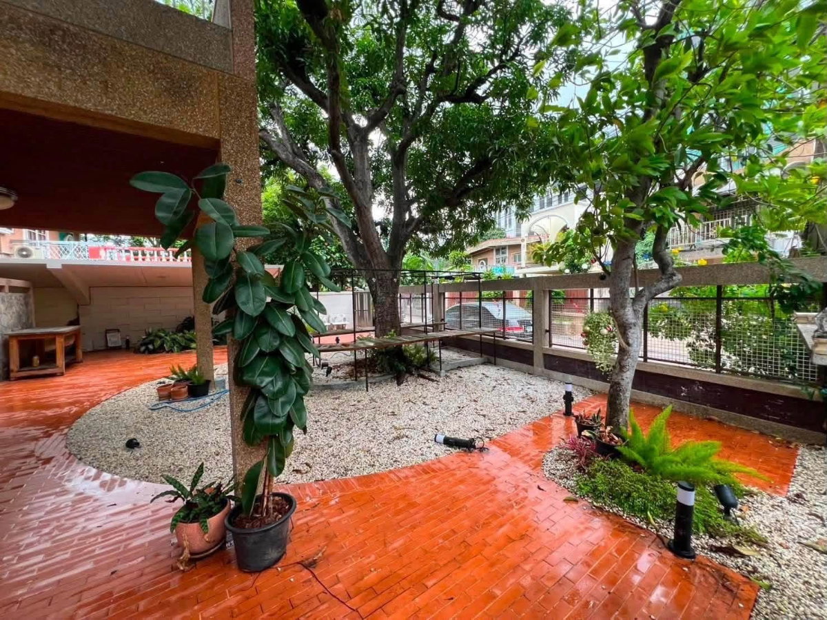 รูป ✨ บ้านสวนให้เช่า ใจกลางเอกมัย12 เพียง 350เมตร ถึง ดองกิมอลล์ทองหล่อ สามารถเปิดร้านหรือทำคาเฟ่ได้ ✨ - รูปที่ 4/8